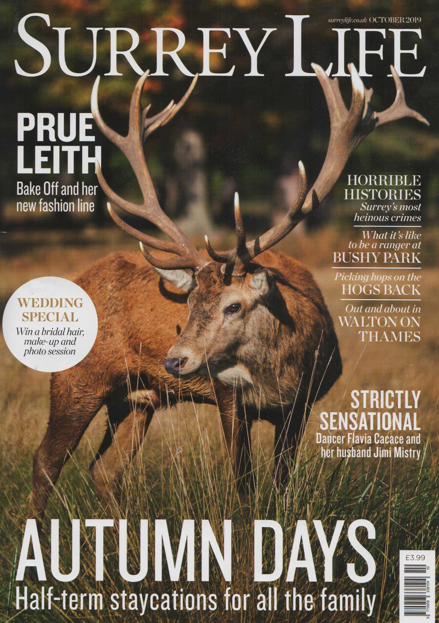 Surrey Life features She Chose Science Superwide Wallpaper