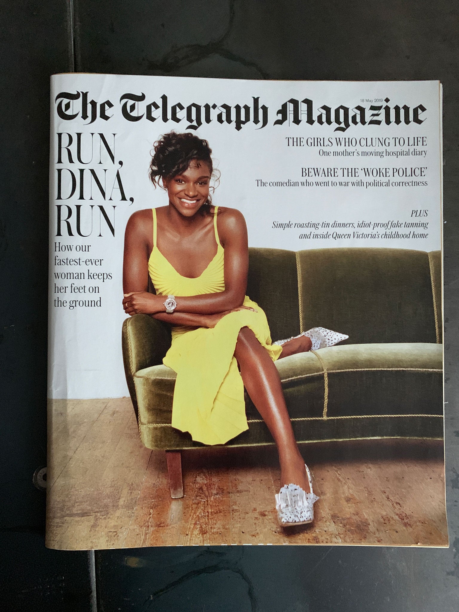 The Telegraph Magazine featuring The Monkey Puzzle Tree