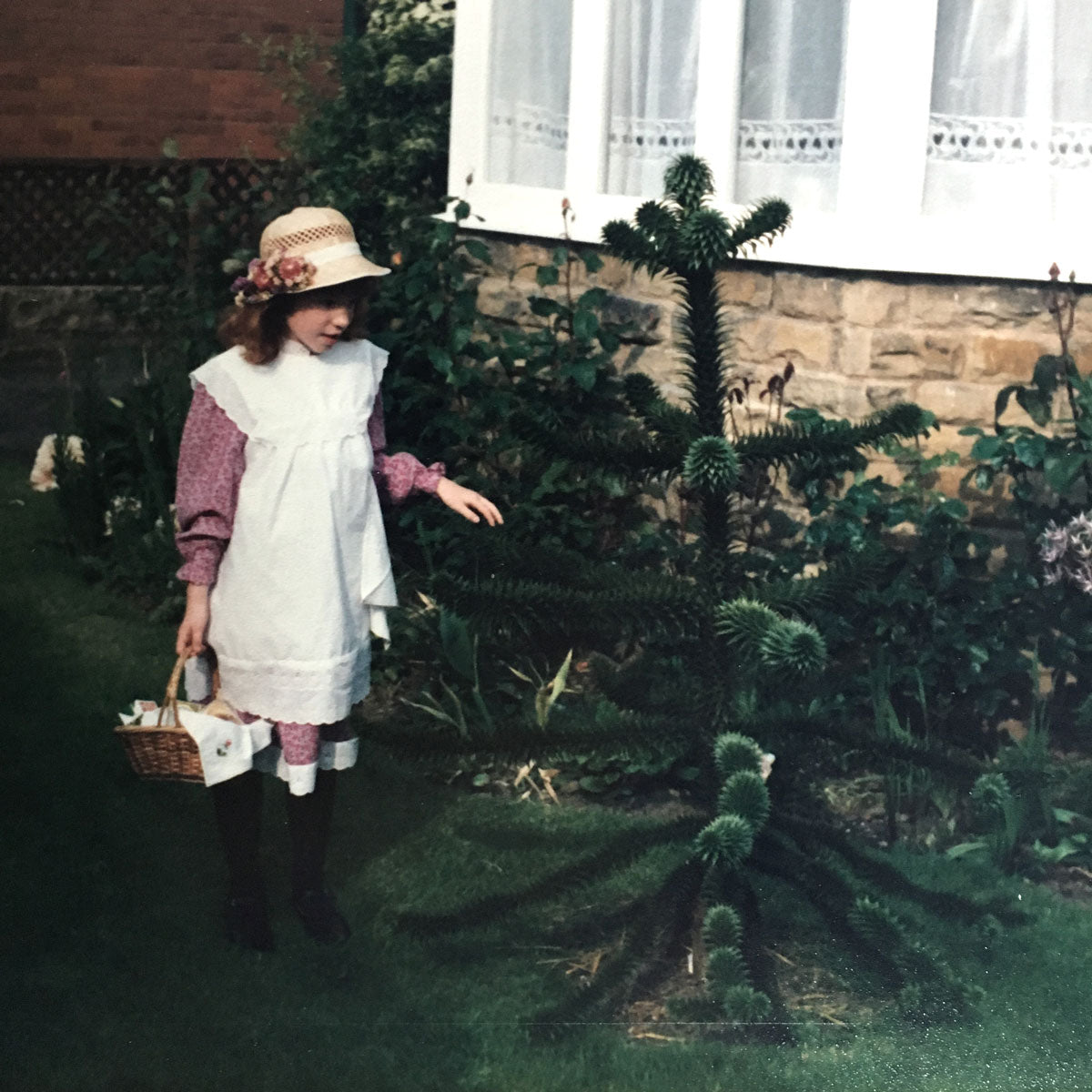 How I named my business...Saying 'Goodbye' to the original monkey puzzle tree 😢
