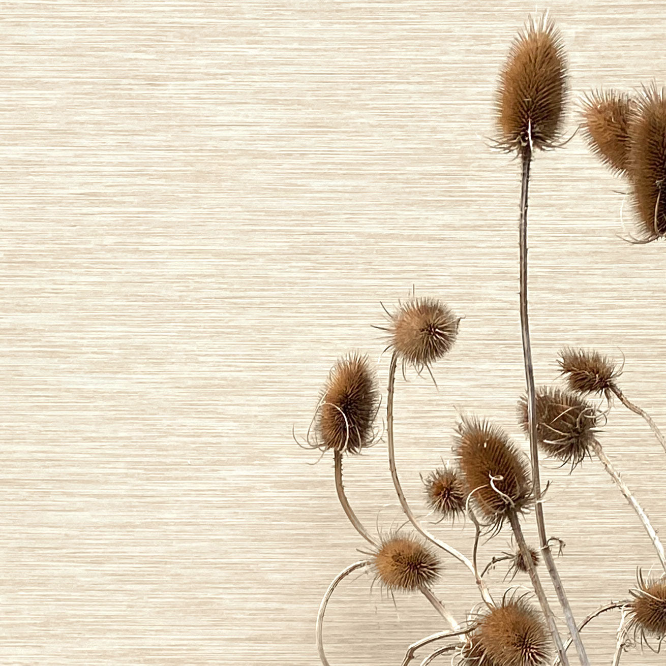 Savannah Plain superwide textile wallcovering