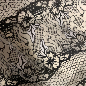 Design for the Corner Motif of a Woven Fabric. A fantastical lace plant  rises from a bottom showing obliquely dispersed rows of points. Stripes  designed in the manner of lace form a