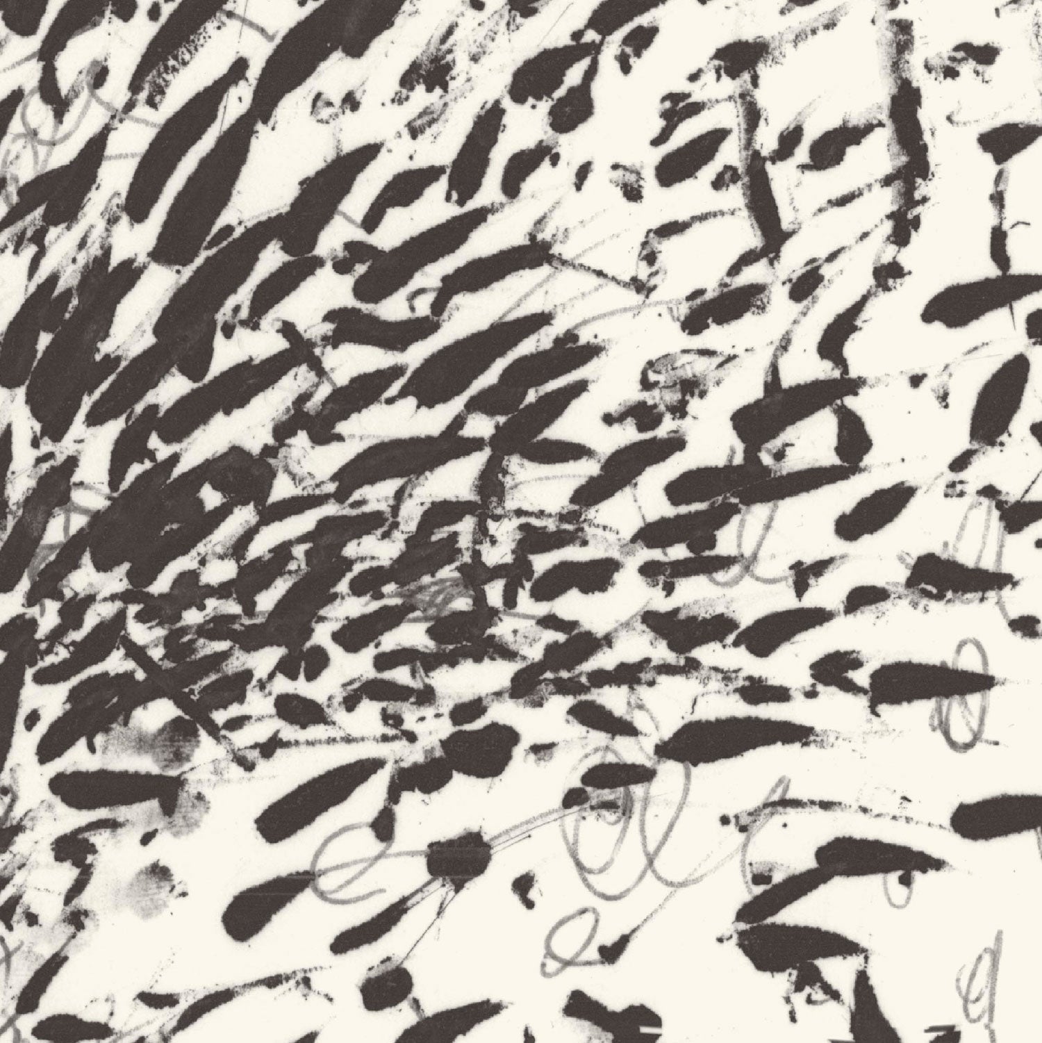 Disorder in Stasis Passerine and Feldspar by Joel Weaver for The Monkey Puzzle Tree with red skirting board