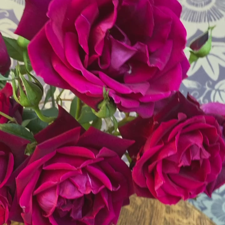 Lilac and Silver Passion Flower Wallpaper